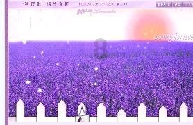 逃离梦想花园