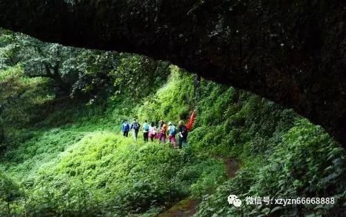 逃离倒影森林