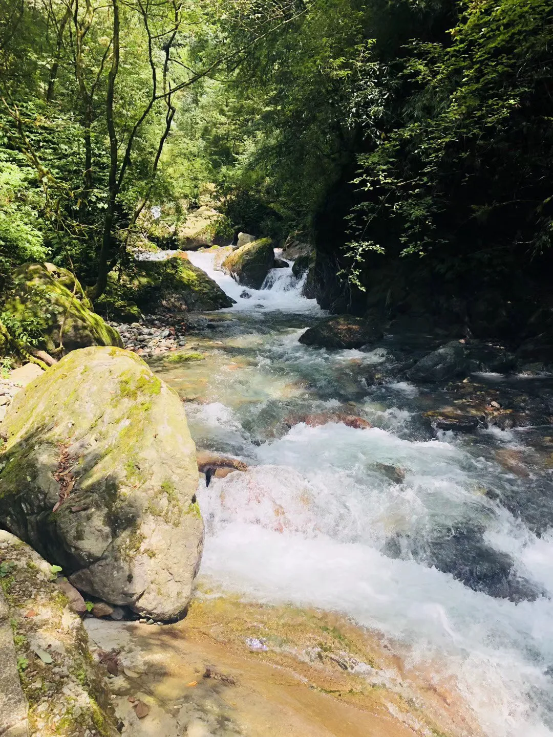 短道速滑比赛和花样滑冰你更喜欢哪一个比赛？