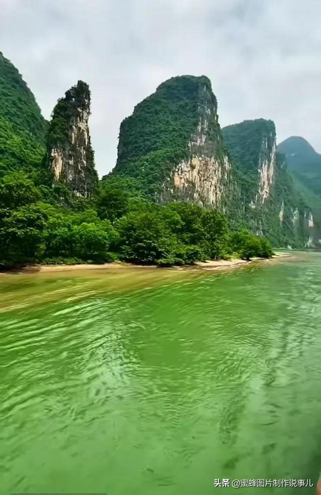 燃烧吧大脑装瓶子游戏