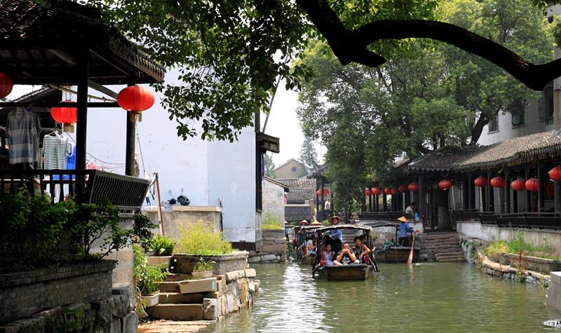 这菜确实贵,但冬天要多给孩子吃,补脑又强身,蒸一蒸就好,特鲜